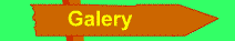Galerie
