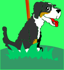 Hund