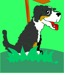 Hund